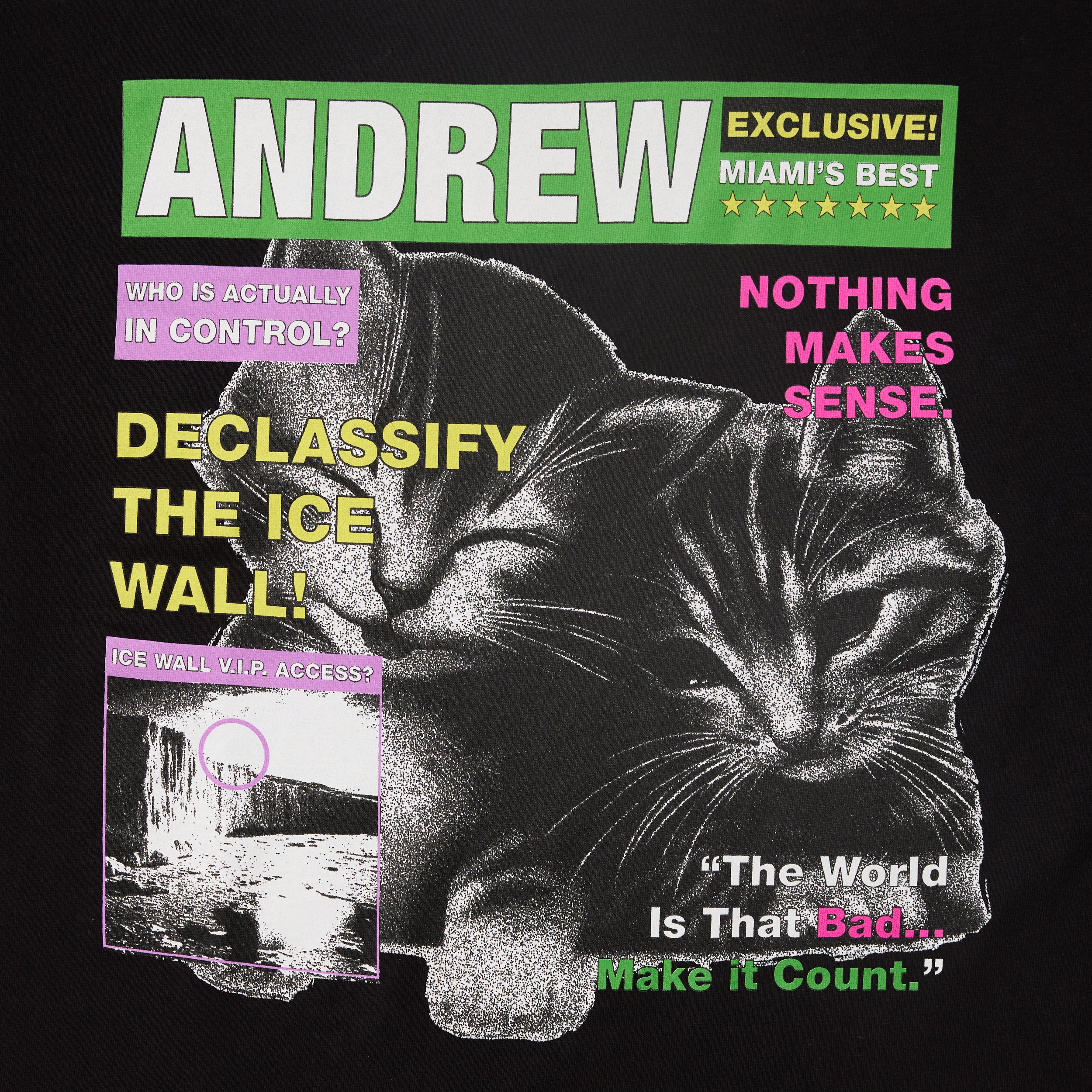 Kitten Tee - Black